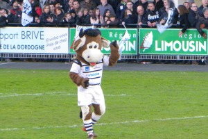 La mascotte du CA Brive, Zouzou, est là pour animer le match entre le CA Brive et le FC Grenoble