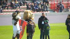 Photos match Stade Toulousain - CA Brive - Top 14